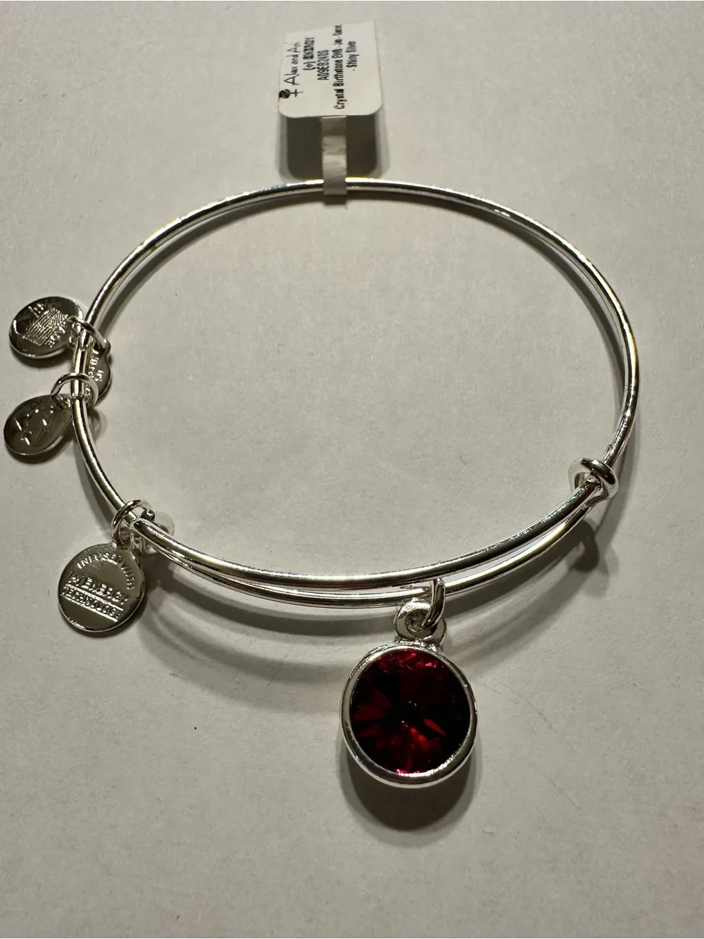 Alex and Ani Silver-Tone Bracelet with Garnet Birthstone Charm - Jan